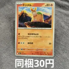 【在庫2 】ドンメルまとめ買い