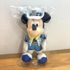ディズニー ミッキー ぬいぐるみバッジ ぬいば サマースプラッシュ2010 最安