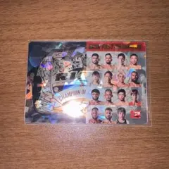 RIZIN PAST CHAMPIONS カード No.30 シークレット