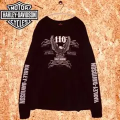 Harley-Davidson ロンT イーグルプリント サイズ2XL 古着