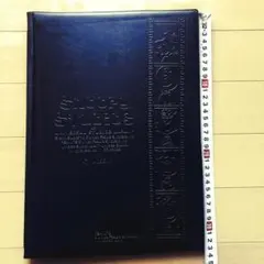 日本生命　保険証券入　スヌーピー　A4 クリアファイル