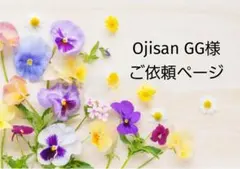 Ojisan GG様 リクエスト 2点 まとめ商品