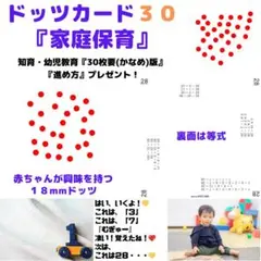 【知育玩具０歳～6歳】　家庭保育ドッツカード３０ (^^♪