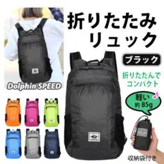 折りたたみリュックサック　エコバッグ『 ブラック・収納袋付 』アウトドア