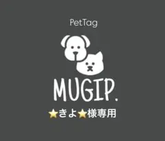 ⭐きよ⭐様専用