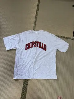 WEGO CHIPSTEAD Tシャツ グレー
