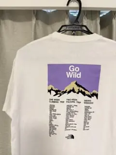 ノースフェイス Tシャツ ホワイトのサムネイル