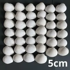 Item thumbnail for item 3fb944e5-9a4e-4208-835f-b074a50df3e7