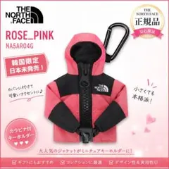 韓国限定 THE NORTH FACE ダウンジャケット型 キーホルダーチャーム