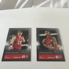 日本代表バレーボール女子カードセット