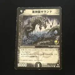 黒神龍ギランド 旧枠 プロモ P30/Y5 - メルカリ