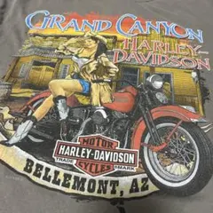 Harley-Davidson 古着　ロンTのサムネイル