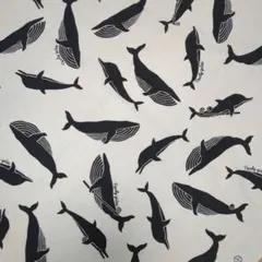 Item thumbnail for item 7ea09e4b-6405-4134-afb9-1c6dc36010cd