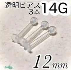 Item thumbnail for item 37ea36fa-5fe5-418c-95a3-3e9c17a41a3a