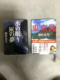 Item thumbnail for item 5428c599-3291-441d-b94c-42f7927793cc