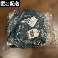 ジャンスポーツ JANSPORT ハーフパイント DEEP JUNIPER 緑のサムネイル