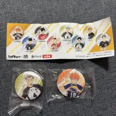 くら寿司　ハイキュー!! 缶バッジ2個セット