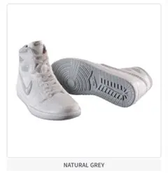 NIKE Air Jordan 1 High 85 ミニチュア