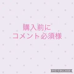 購入前にコメント必須様 リクエスト 3点 まとめ商品
