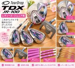 2026年最新】TDX JR-100の人気アイテム - メルカリ
