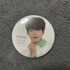 SEVENTEEN ウォヌ popup 2020 缶バッジ