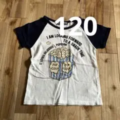 VANDASH ポップコーン Tシャツ 120