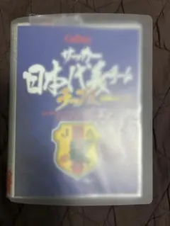 2004 カルビーサッカー日本代表チップス　カードホルダー　Calbee