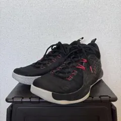 Item thumbnail for item 7e65691c-4e61-4ee0-9548-65968e7f5087