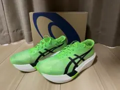 asics METASPEED SKY TOKYO 28.0cm