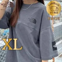 【韓国限定】THE NORTH FACE ロゴ ステッチ Tシャツ グレー XL
