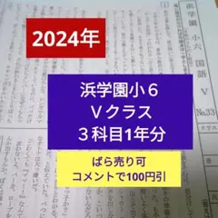 2024年　浜学園小５　Ｖクラス　３科目１年分　復習テスト　算国理 2026年最新】浜学園Vクラス復習テストの人気アイテム - メルカリ
