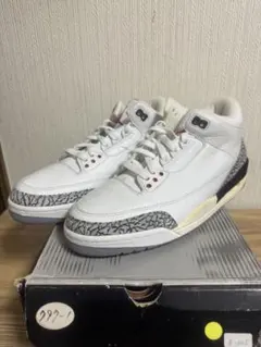 Air Jordan 3 Retro 10.5 136064102ナンバー19番