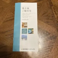 東急不動産　優待券冊子　(100〜499株)