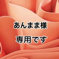 あんまま様 リクエスト 2点 まとめ商品