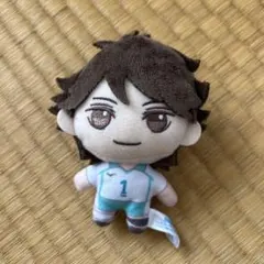 ハイキュー　及川　ぬいぐるみ
