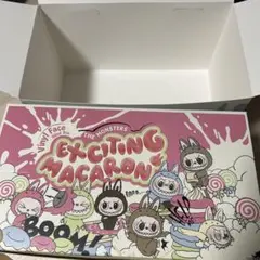 Labubu EXCITING MACARON 空箱　2個セット