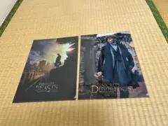 ファンタスティック・ビーストとダンブルドアの秘密クリアファイルセット