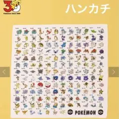 スリコ ポケモン30周年 BIGハンカチ