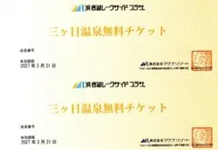 セトスパ 瀬戸大橋スパリゾート 無料入館券 倉敷市児島 2枚セット