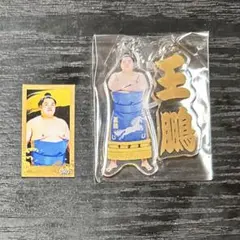 王鵬　2点セット　大相撲ガチャ めじるしアクセサリー　ステッカーシール