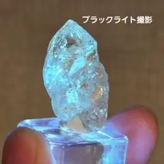 2026年最新】骸晶の人気アイテム - メルカリ
