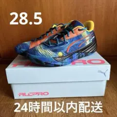 ALL-PRO NITRO オールプロニトロDYLAN EXHIBIT 28.5
