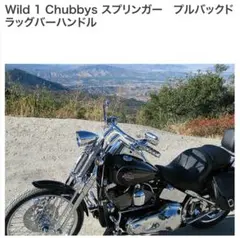WILD 1 CHUBBY ロードキングバー ビーチバー ワイヤー付き - メルカリ