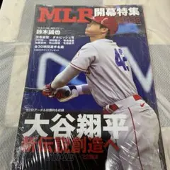 Item thumbnail for item f953c1ea-e275-495b-9f8f-cca96964090f