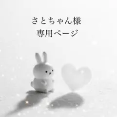 ❤️さとちゃん様専用出品❤️