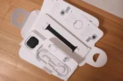 apple watch 11