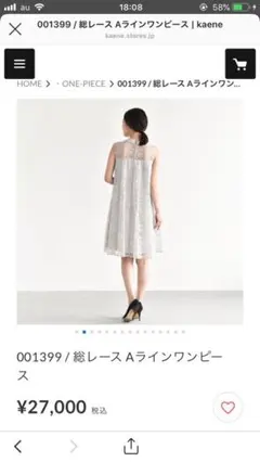 kaen / 総レースＡラインワンピースドレス(グレー)