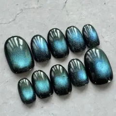 【最終値下げ】ネイルチップ 現品のみ マグネットネイル