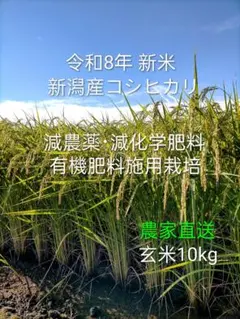 農家直送令和8年新米新潟産コシヒカリ玄米10kg - メルカリ