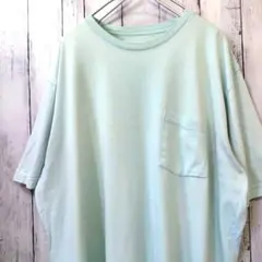 Southern Point Co. ビッグサイズ Tシャツ 青系 2XL 古着